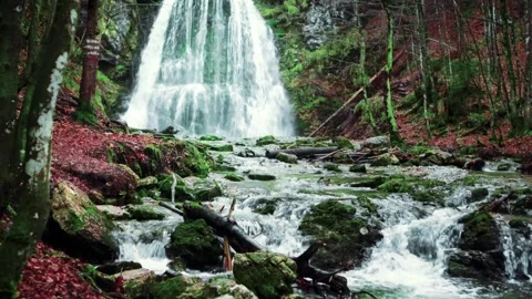 High angle shot of waterfall cascading into rocky forest stream with rushing Видео 344417962