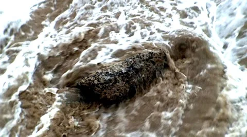 High angle shot of waves hitting rock on shore Video stock 7905387