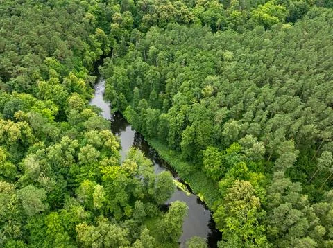 High-angle shot of winding river amidst green summer trees, Poland. Stock Photos