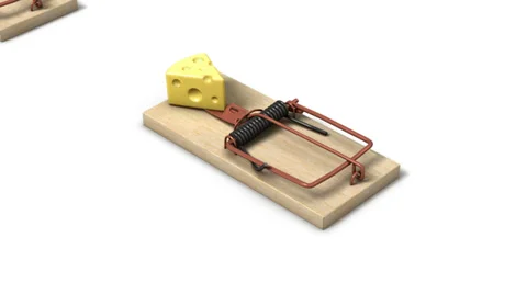 High angle up from single Mouse Trap revealing many Traps  Stock Footage 32629129