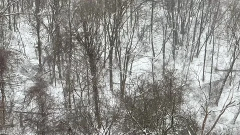 High angle of snowy forest Stock Footage 171890548