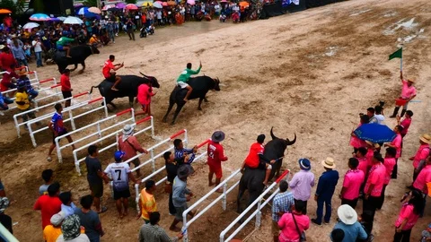 High Angle Start Buffalo Racing Chonburi Stock Footage 98236718