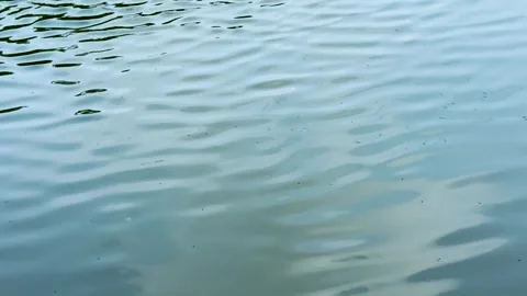 High angle static shot of soft blue water ripples moving across a calm lake.. Stock-Footage 337583436
