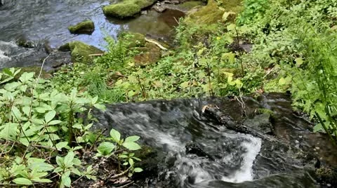 High angle stream tumbling over edge one third Vidéo 22111306