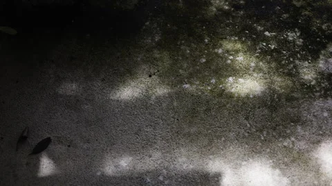 High Angle Sun Shadows On Stained Floor 02 Stock Footage 320596519