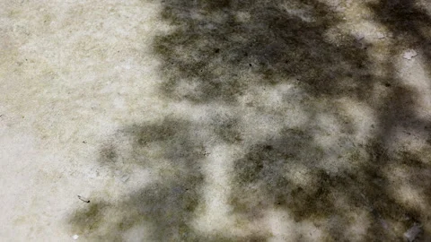 High Angle Sun Shadows On Stained Floor 03 Stock Footage 321325047