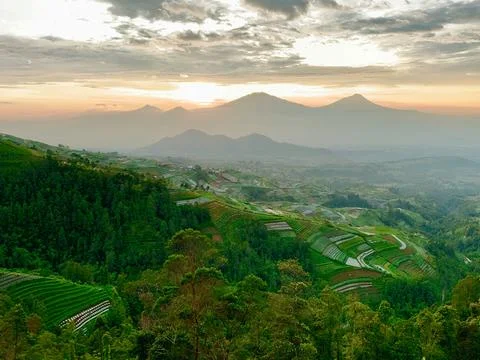 High Angle Sunrise View of Terraced Farms on Mount Sumbing Slopes Foto stock