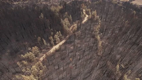 High angle of surface affected by problems of the climate changes. Stock Footage 159601490
