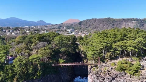 High Angle Suspension Bridge and Mt Omuro Cityscape Aerial Stock Footage 329060680