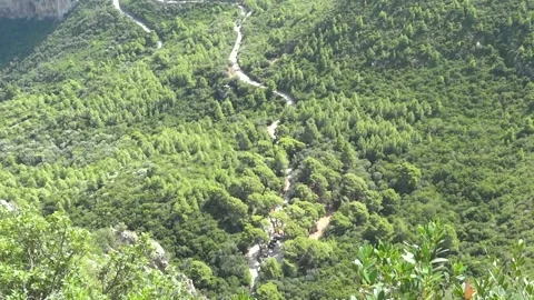 High angle of a tiny path in the middle of a dense forest Stock Footage 266286573