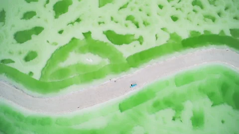High-Angle Top-Down Close-Up Aerial View of Mangya Emerald Lake and Salt Road Stock Footage 343799580