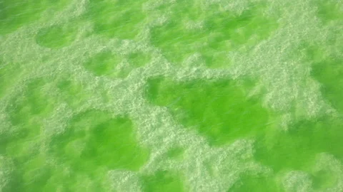 High-Angle Top-Down Close-Up Aerial View of Mangya Emerald Lake in Qinghai 動画素材 343799581