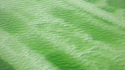 High-Angle Top-Down Close-Up Aerial View of Mangya Emerald Lake in Qinghai Stock Footage 343799670