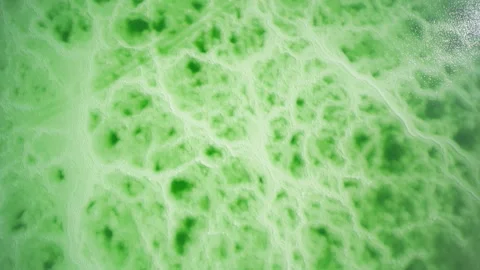 High-Angle Top-Down Close-Up Aerial View of Mangya Emerald Lake in Qinghai 動画素材 343799678
