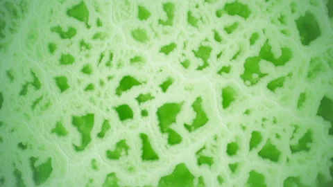 High-Angle Top-Down Close-Up Aerial View of Mangya Emerald Lake in Qinghai Stock Footage 343799777