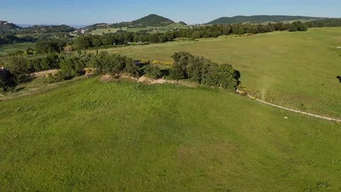 High Angle Top Down View of Country Dirt Road in Green Pasture Stock Footage 346397825