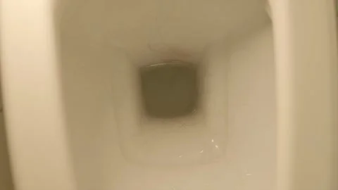 High angle top view of long fallen hair inside white toilet bowl Video stock 346834794