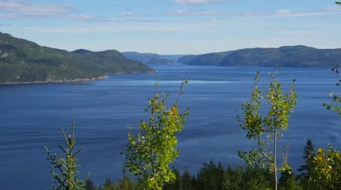 High angle in the trees showing large body of water and mountains in the back Video stock 62651630