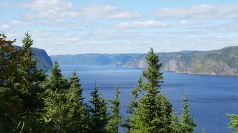 High angle in the trees showing large body of water and mountains in the back Stock Footage 62651639