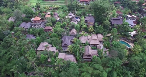 HIGH ANGLE UPWARD TILT OF UBUD BALI COUNTRYSIDE  - 4k AERIAL VIEW Stock Footage 59778928