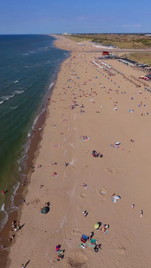 High angle vertical aerial drone video clip of sandy beach with beachgoers Stock Footage 342634669