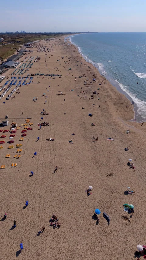 High angle vertical aerial drone video clip of sandy beach, beachgoers Vídeos de archivo 343137617