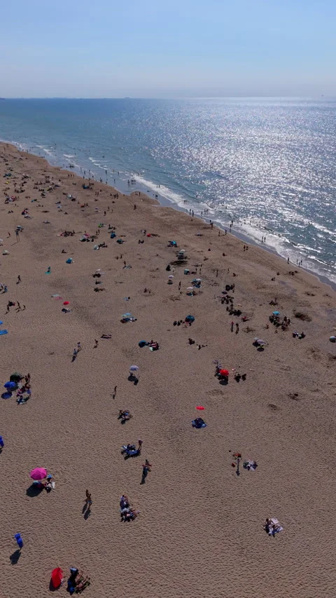 High angle vertical aerial drone video clip of sandy beach, beachgoers Vídeos de archivo 343137855