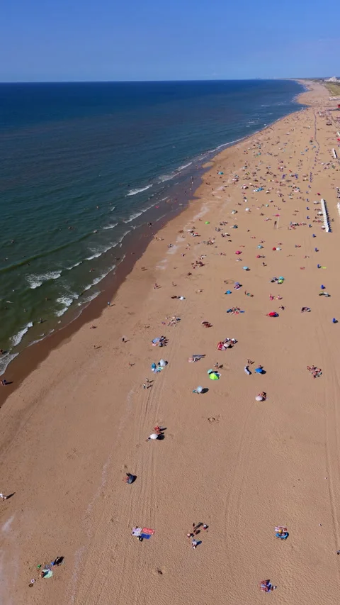 High angle vertical aerial drone video clip of sandy beach, beachgoers sun Видео 343138724