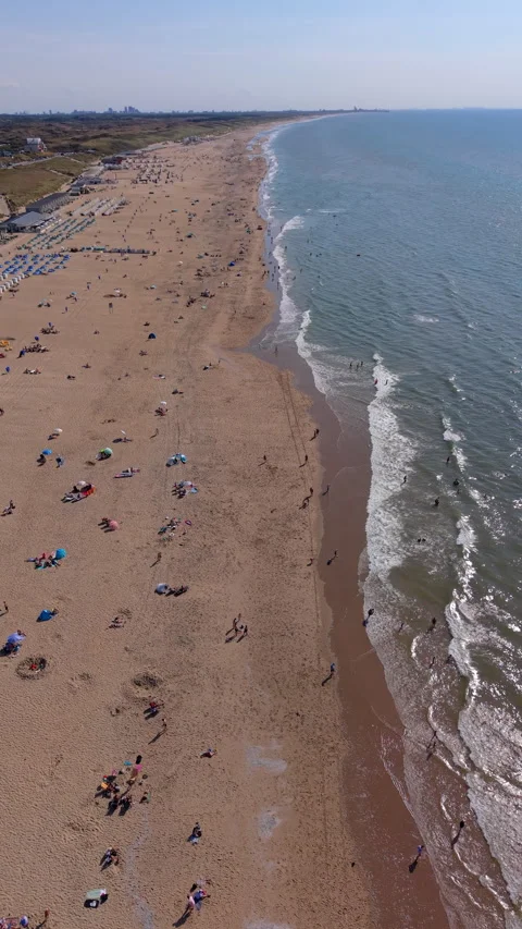 High angle vertical aerial drone video clip of sandy beach, beachgoers sun Vídeos de archivo 343141582