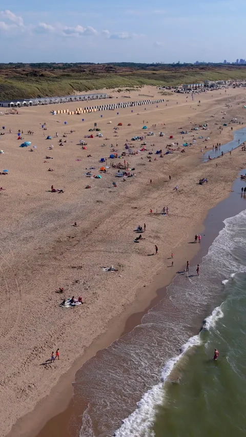 High angle vertical aerial drone video clip of sandy beach, beachgoers Vídeos de archivo 343141875