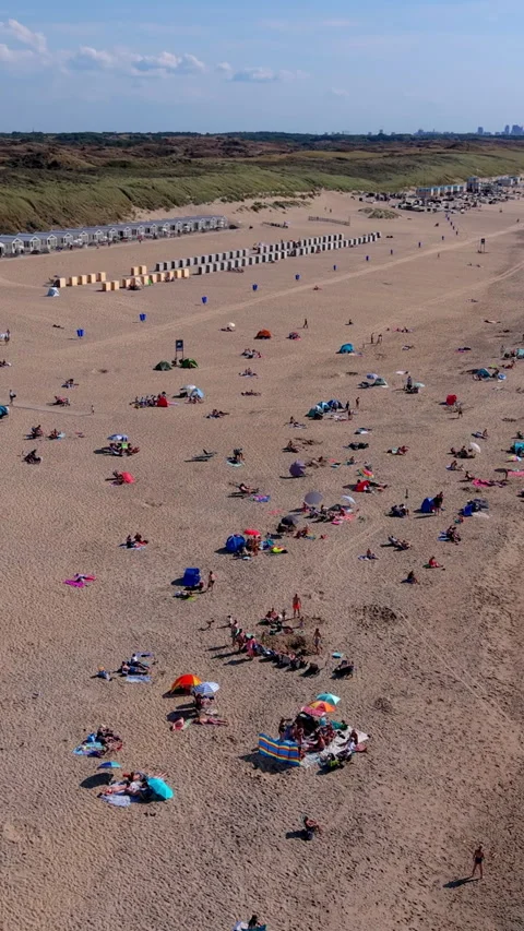 High angle vertical aerial drone video clip of sandy beach, beachgoers sun Vídeos de archivo 343142899
