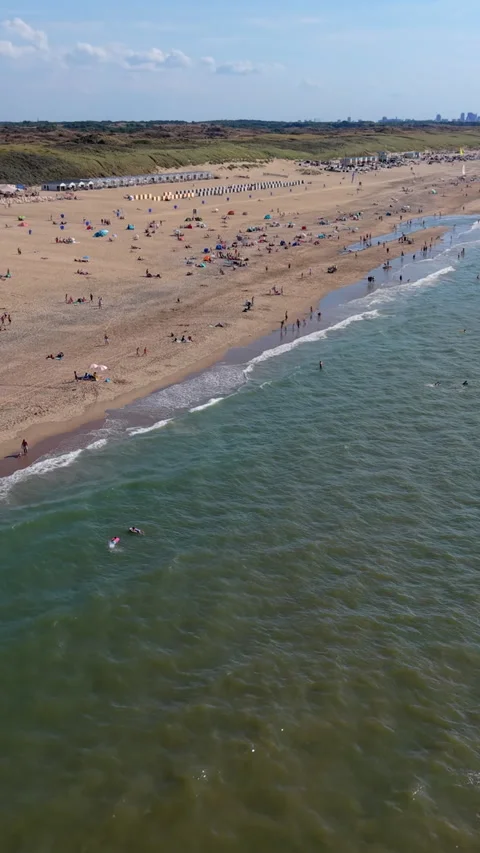 High angle vertical aerial drone video clip of sandy beach, beachgoers Видео 343142965
