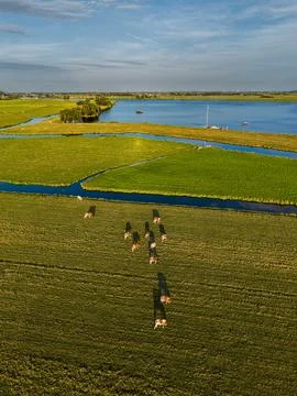 High angle vertical aerial drone photograph of Kagerplassen lake, polder Stock Photos