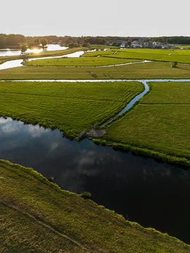 High angle vertical aerial drone photograph of polder fields, grazing cows Stock Photos