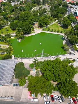 High Angle Vertical: Parque Alcalde, Guadalajara - Lake View Stock Photos