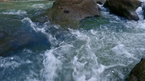 High angle video view of water flow riverside Stock Footage 186731298