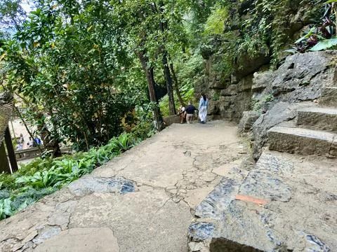 High angle view of the ancient mossy pagoda roof and the path among limestone Stock Photos