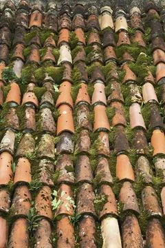High angle view and close-up of traditional terracotta clay roof tiles overgrown Stockfoto's