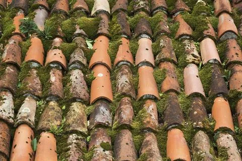 High angle view and close-up of traditional terracotta clay roof tiles overgrown Stock Photos