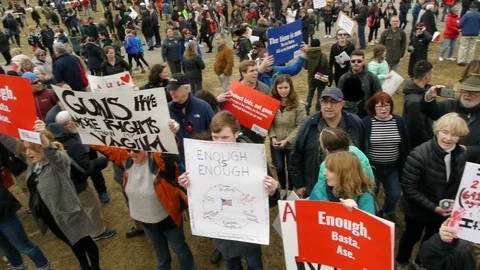 High Angle View of Anti Gun Protesters Video stock 87636227
