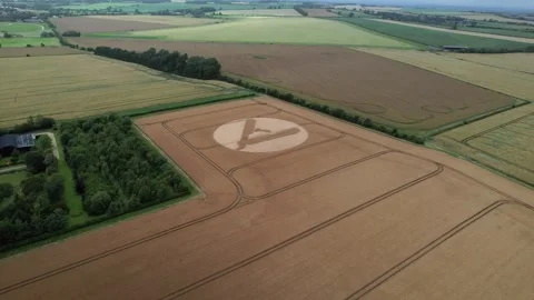 High angle view approaching cut throat razor crop circle pattern aerial Stock Footage 246856948