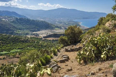 A high-angle view from an archaeological path lined with prickly pear cacti Stock Photos