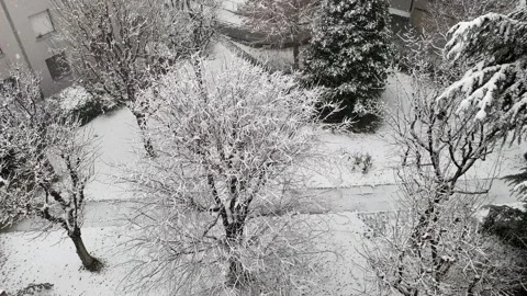 High angle view of bare trees covered in frost with falling snow. Stock Footage 326392289