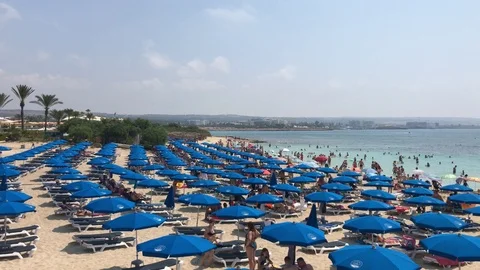 High Angle View Of A Beach With Blue Umbrellas Stock Footage 116615345