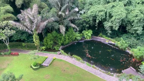 High angle view of a beautiful tropical garden with a koi fish pond . Stock Footage 323718803
