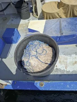 High angle view of a black plastic tub with fishing net and blue ropes on a.. Stock Photos