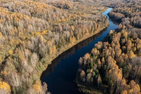 High angle view of a blue river winding through an expansive autumn taiga Stock Photos