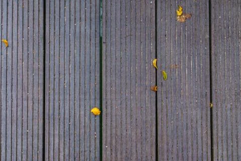 High angle view of boardwalk with sparse fallen leaves. Stock Photos