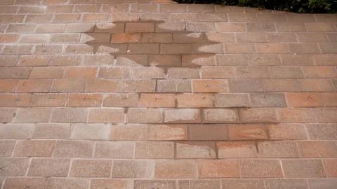 High angle view of a brick paver patio. A dark, wet stain contrasts with dry  Photos