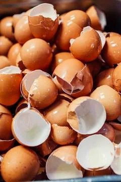 High angle view of broken eggshells in commercial kitchen 스톡 사진